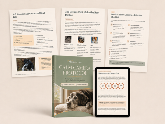 Calm Camera Protocol