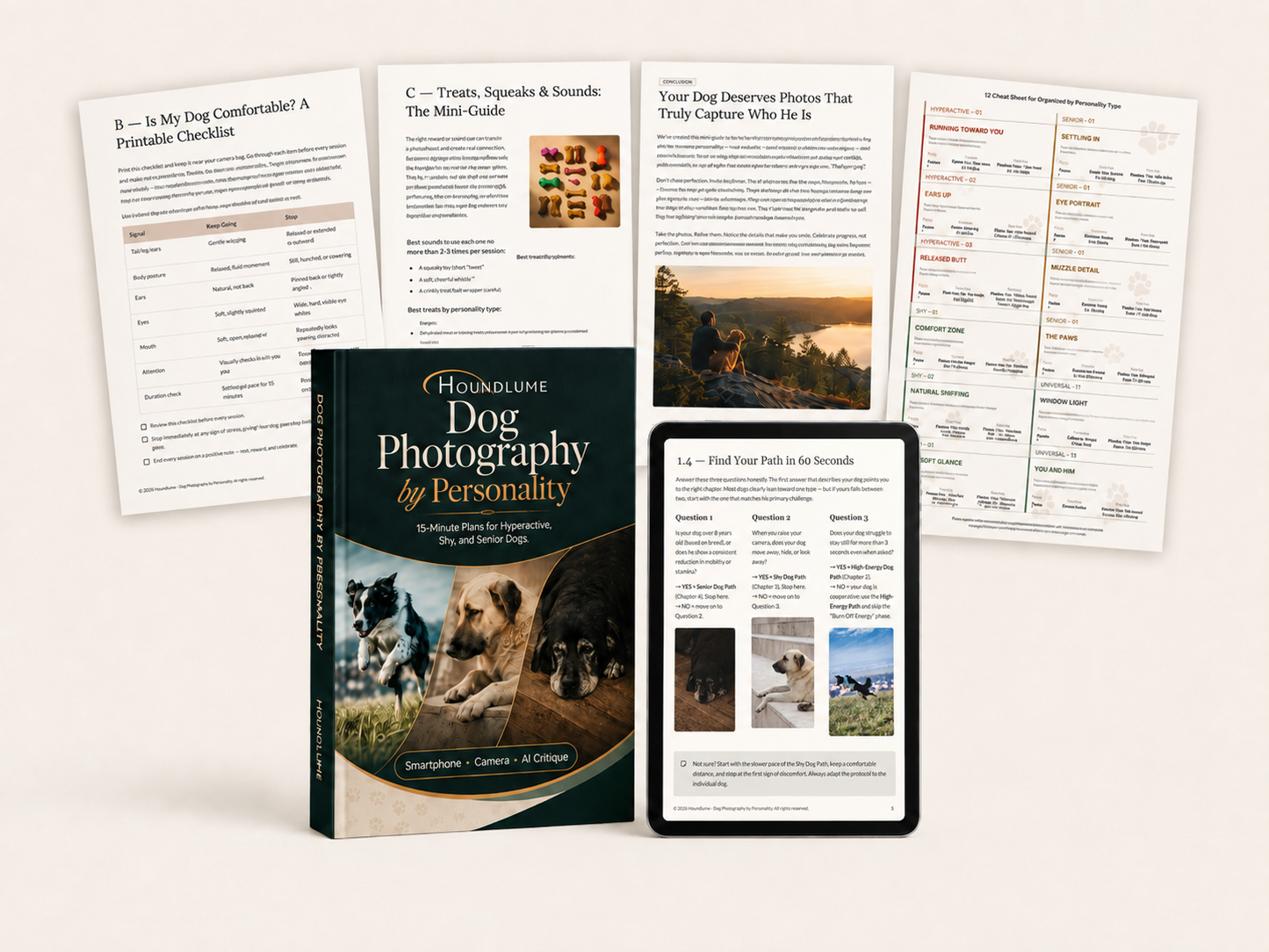 Dog Photography by Personality